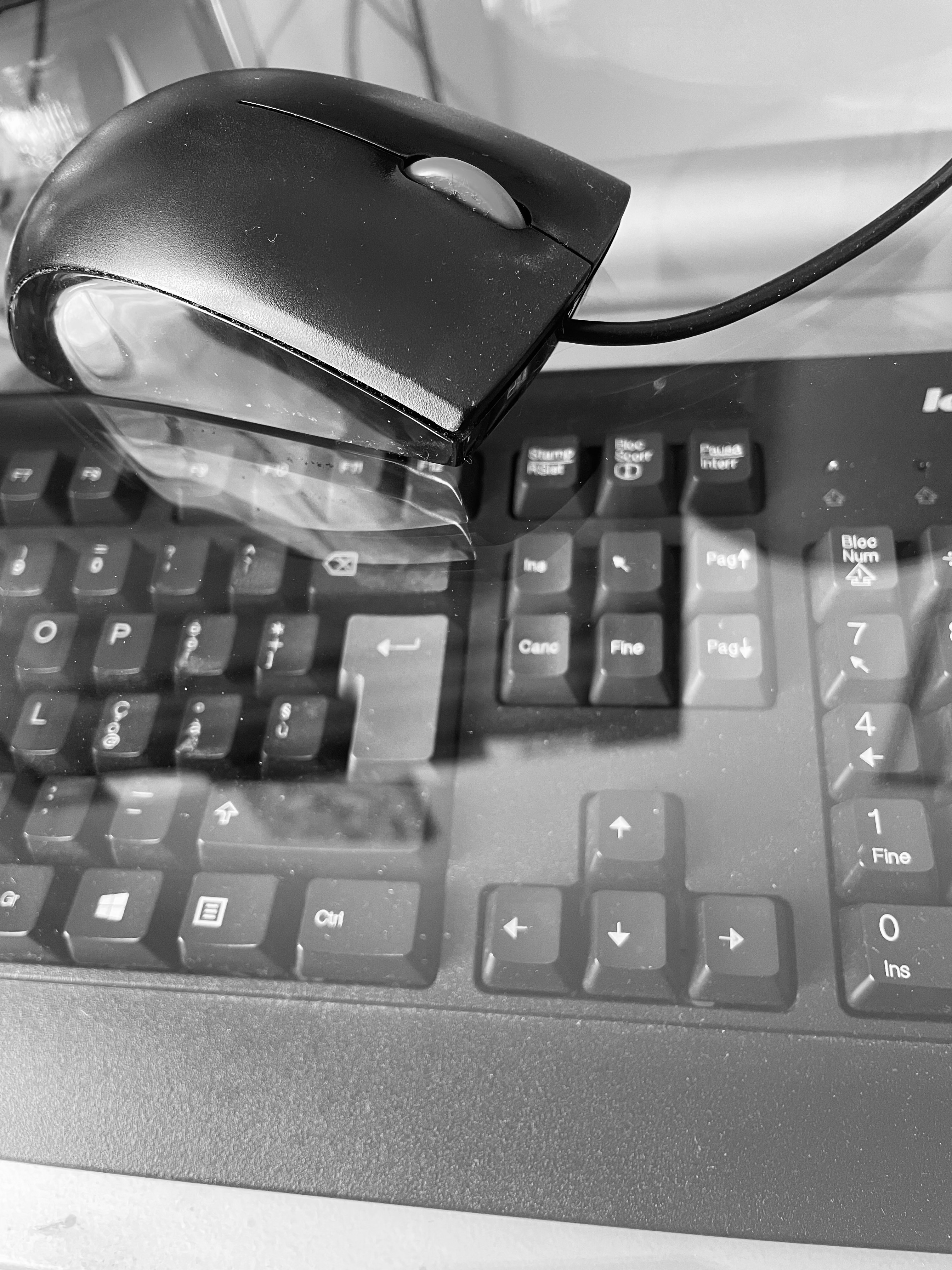 Responsabilit&agrave; dell'intermediario finanziario in caso di "pishing"