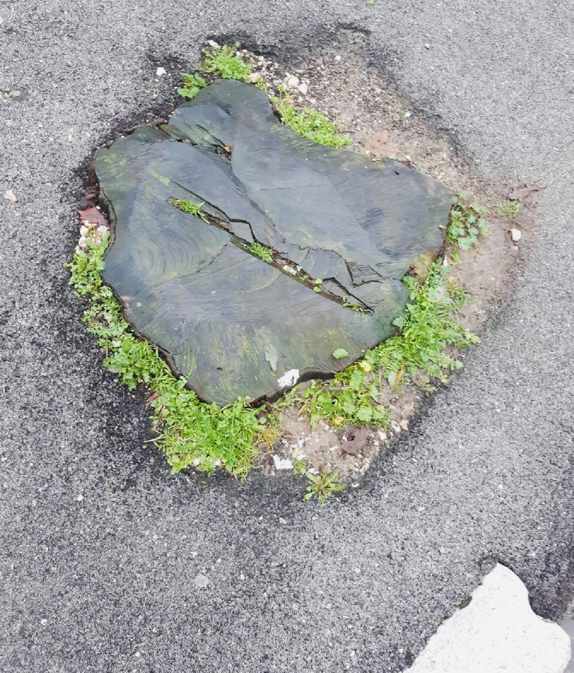 Responsabilit&agrave; della Pubblica Amministrazione per insidia/trabocchetto